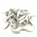 Purificación Natural Salvia Apiana Blanca