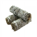 Fagots de Sauge Blanche Salvia Apiana.
