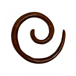 Piercing spirale boucle d'oreille en sawo.