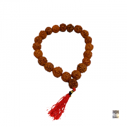 Rudraksha seed buddhist bracelet