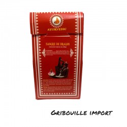 Incenso ayurvedico in coni di sangue di drago.