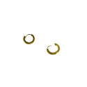 Gold Hoop Steel Earrings