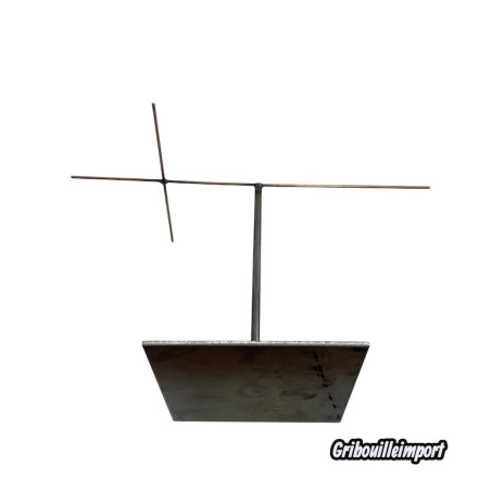 Socle pour "Coco-Fesses" Lodoicea maldivica