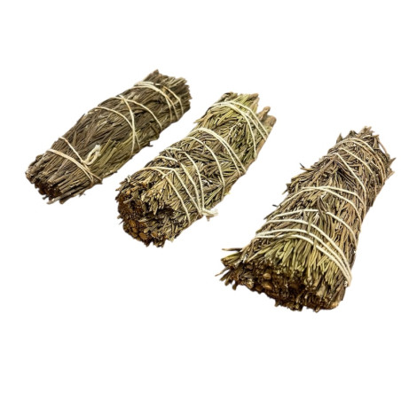 3 Bund Rosmarin zur Reinigung