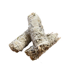 Salvia Bianca e Lavanda