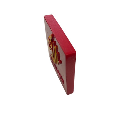 Magnete Occitania Regione Midi-Pirenei