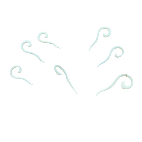 7 Piercing Ethnique Tribal en Corne.