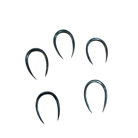 5 Ethnic Tribal Horn piercings.